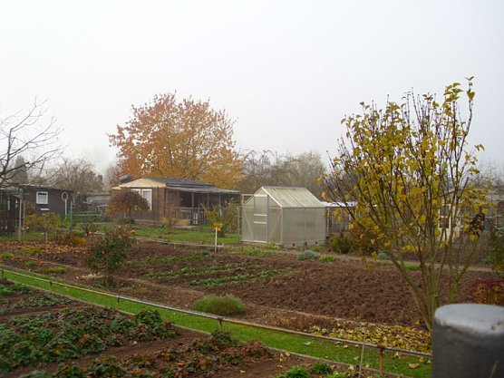 Herbstarbeiten in Glückauf (Foto: Thomas Leipold) Herbstarbeiten in Glückauf (Foto: Thomas Leipold)