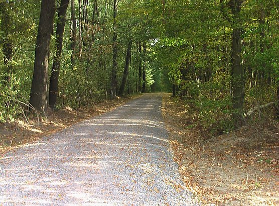 kn auf Spurensuche (Foto: Karl-Heinz Herrmann) kn auf Spurensuche (Foto: Karl-Heinz Herrmann)