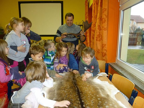 Spatzen erkunden die Natur (Foto: K&auml;ferland)