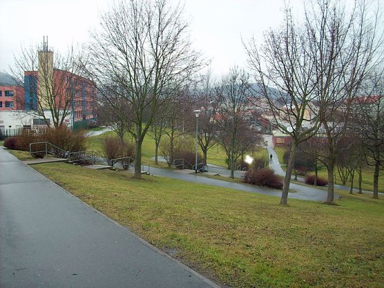 Wieder Randaliert (Foto: Karl-Heinz Herrmann)