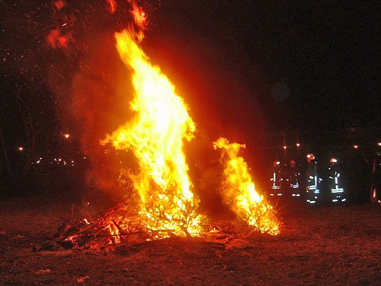 Weihnachtsbäume werden noch benötigt! (Foto: Stadt Bad Frankenhausen) Weihnachtsbäume werden noch benötigt! (Foto: Stadt Bad Frankenhausen)