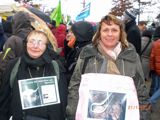 Gro&szlig;demo Berlin (Foto: Horst Schmidt)