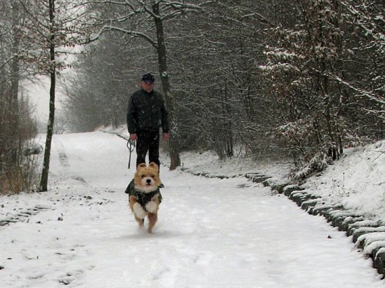 Winterzauber (Foto: Sebastian Hey)