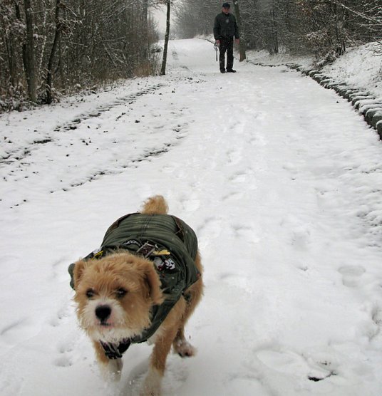 Winterzauber (Foto: Sebastian Hey)
