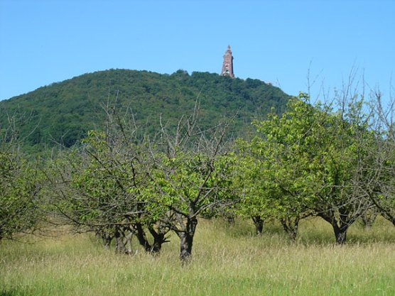 GeoPfad Tilleda (Foto: Karl-Heinz Herrmann) GeoPfad Tilleda (Foto: Karl-Heinz Herrmann)