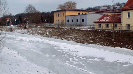 Warum das und nicht das? (Foto: Familie Kieper)