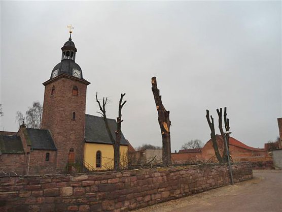 Baumverschnitt ohne Genehmigung (Foto: Stadt Bad Frankenhausen) Baumverschnitt ohne Genehmigung (Foto: Stadt Bad Frankenhausen)