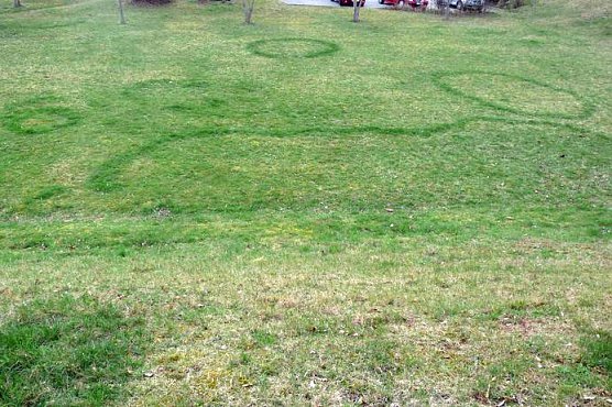 Sehr seltsam! (Foto: Karl-Heinz Herrmann) Sehr seltsam! (Foto: Karl-Heinz Herrmann)