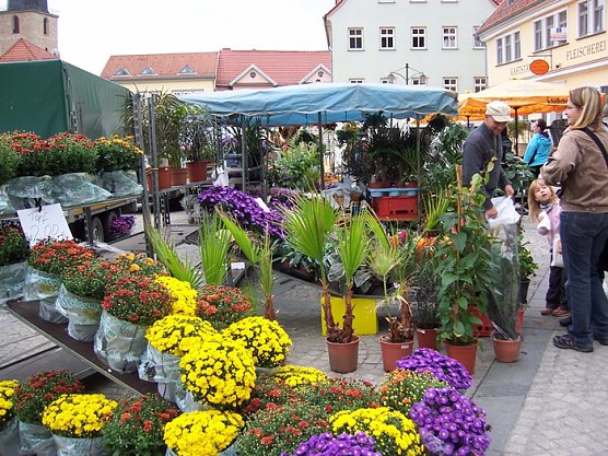 Gr&uuml;ner Markt (Foto: Stadt Sondershausen)