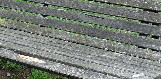 Lauschiges Pl&auml;tzchen? (Foto: Karl-Heinz Herrmann)