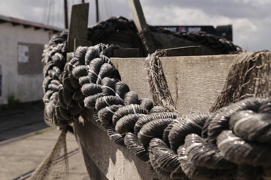 Neue Bilder im Landratsamt (Foto: Dr. Ulrich K&uuml;hn)