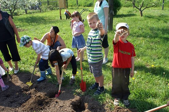 Kartoffeln (Foto: Thomas Leipold)