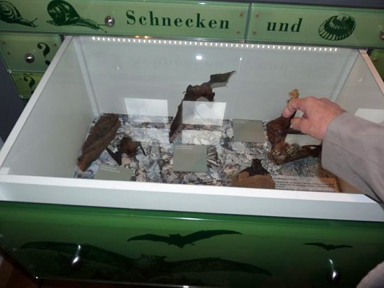 Neue Ausstellung geplant (Foto: Karl-Heinz Herrmann)