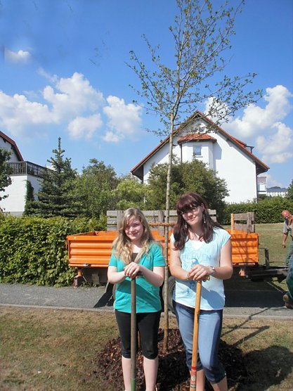 Der zweite Baum (Foto: Jugendweiheverein Bad Frankenhausen) Der zweite Baum (Foto: Jugendweiheverein Bad Frankenhausen)