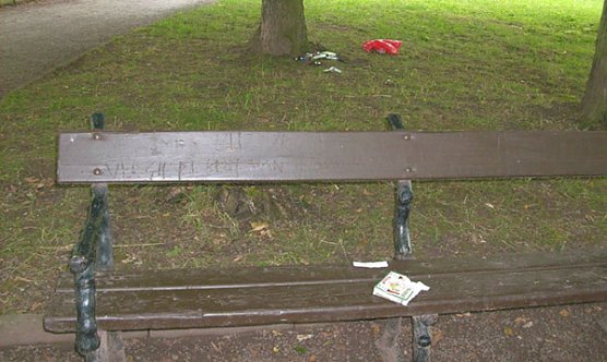 Müll Schlosspark (Foto: Karl-Heinz Herrmann) Müll Schlosspark (Foto: Karl-Heinz Herrmann)