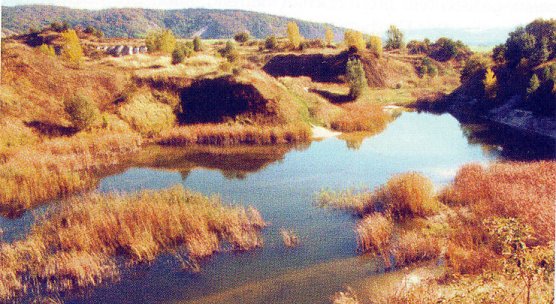Braunkohlenabbau in Bendeleben (Foto: Archiv Hans-J&uuml;rgen Schmidt)