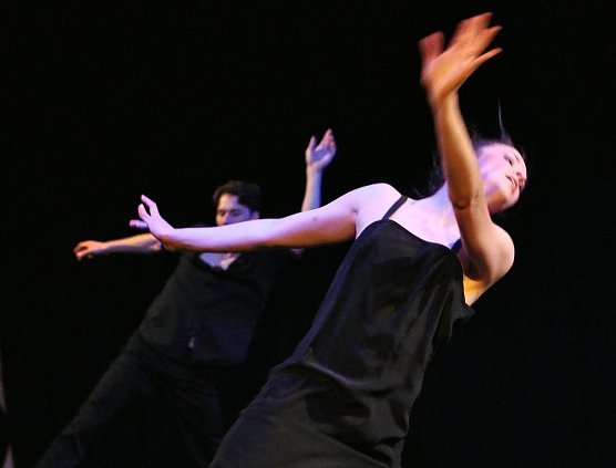 Tänzer werden Choreographen (Foto: privat) Tänzer werden Choreographen (Foto: privat)