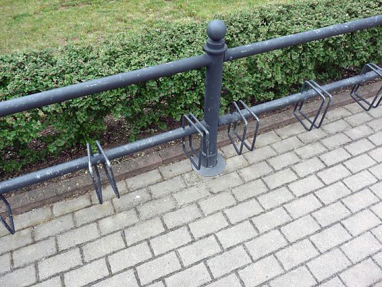 Genauer hingeschaut (Foto: Karl-Heinz Herrmann)