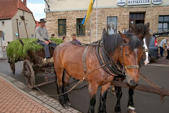 2. Th&uuml;ringer Traditionsgespannfahren Clingen (Foto: Peter Georgi)