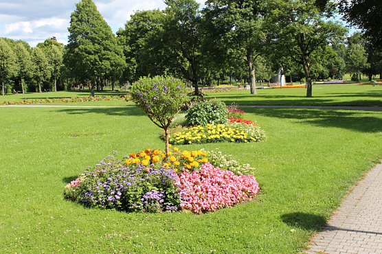 Erfahrungen ausgetauscht (Foto: Stadt Bad Frankenhausen)