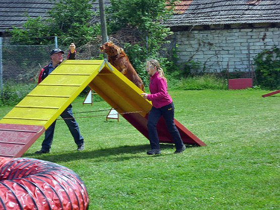 Ein Seminar mit "Mac" (Foto: Olivia Heinzel)