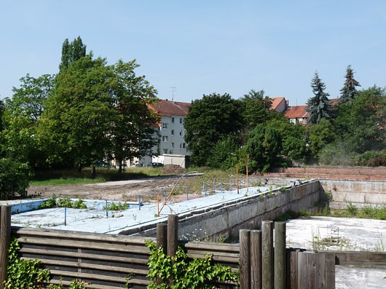 Vorbei geschaut (Foto: Karl-Heinz Herrmann)