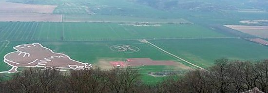 Bodenbild (Foto: Karl-Heinz Herrmann)