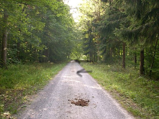 Beschissene Angelegenheit (Foto: Karl-Heinz Herrmann)
