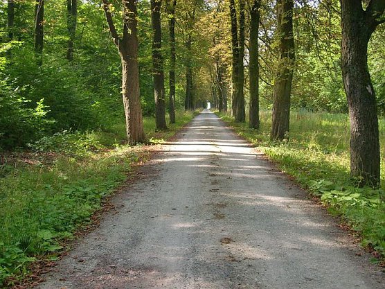 Beschissene Angelegenheit (Foto: Karl-Heinz Herrmann)