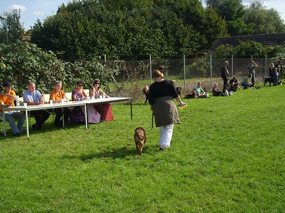 5. "Frankenhisser Hundetag" (Foto: ABC Hundeschule) 5. "Frankenhisser Hundetag" (Foto: ABC Hundeschule)