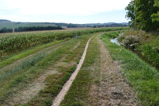 Radweg an der kleinen Wipper (Foto: Karl-Heinz Herrmann)