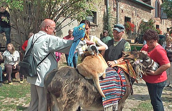 Der Trick mit den Stadtmusikanten (Foto: Karl-Heinz Herrmann)