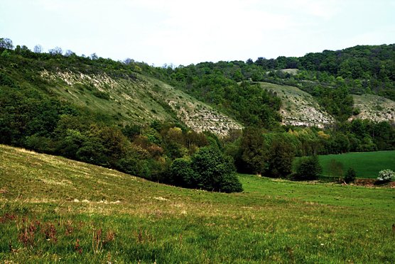 Wipperdurchbruch (Foto: Naturpark Kyffhäuser) Wipperdurchbruch (Foto: Naturpark Kyffhäuser)