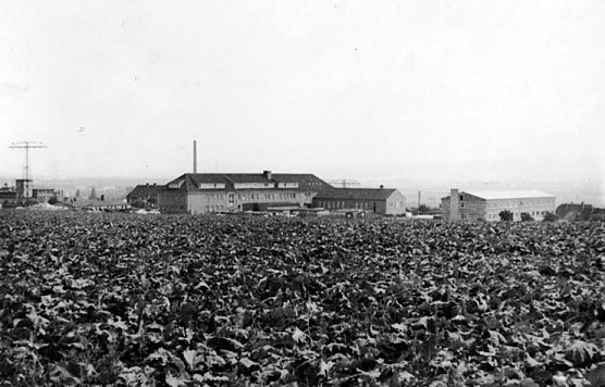 K&ouml;nigstuhl Artern (Foto: Archiv Klaus Henze)