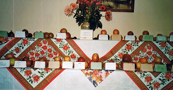 Apfelsortenbestimmung möglich (Foto: Karl-Heinz Herrmann) Apfelsortenbestimmung möglich (Foto: Karl-Heinz Herrmann)