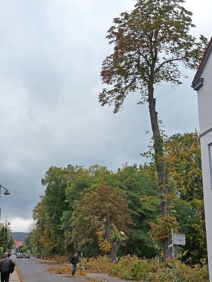 Keine Meldung warum! (Foto: Karl-Heinz Herrmann)