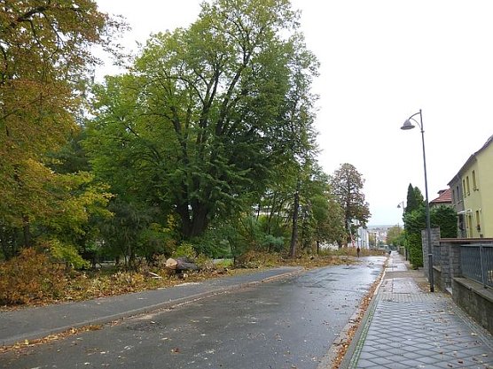 Leser sehen es auch so! (Foto: Dorothea Kieper)