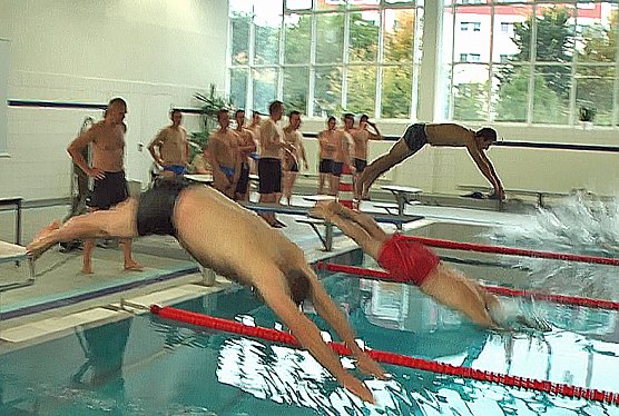 Wilde Hatz hat begonnen (Foto: Karl-Heinz Herrmann)