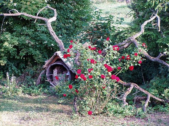 Rosenbaum (Foto: Kunst und Kram)