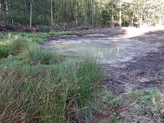 Biotope begutachtet (Foto: Forstamt Oldisleben)