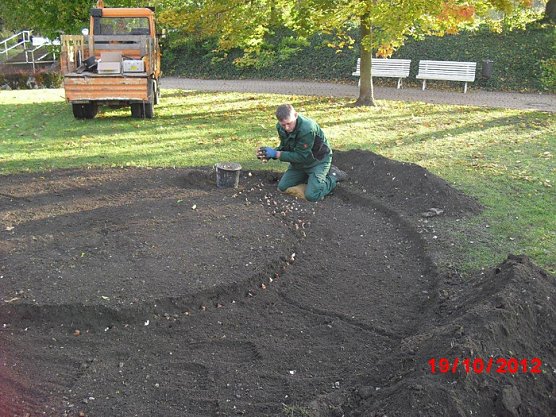 Blühendes Frankenhausen (Foto: Stadt Bad Frankenhausen) Blühendes Frankenhausen (Foto: Stadt Bad Frankenhausen)