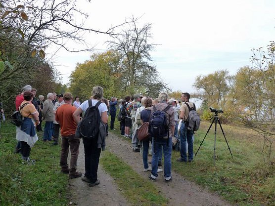 Den Kranichen gefolgt (2) (Foto: Karl-Heinz Herrmann) Den Kranichen gefolgt (2) (Foto: Karl-Heinz Herrmann)