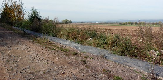 Behinderte doppelt benachteiligt (Foto: Karl-Heinz Herrmann) Behinderte doppelt benachteiligt (Foto: Karl-Heinz Herrmann)