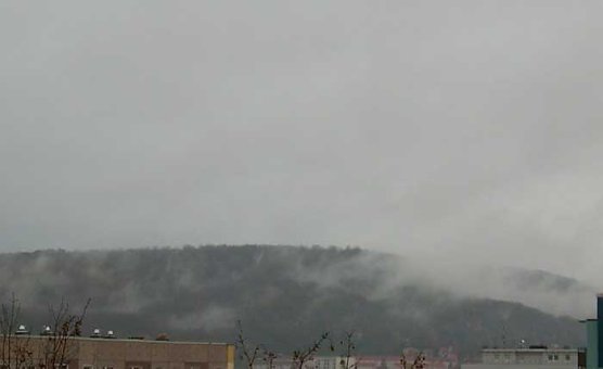 Wetter interessiert (Foto: privat)