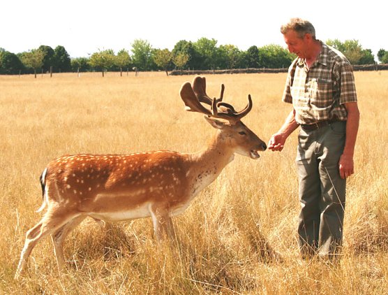 Alterskameraden Feuerwehrverband Sondershausen (Foto: G&uuml;nter Herting)