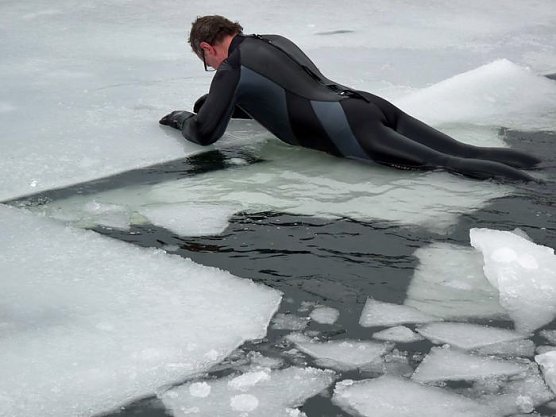 Im Eis versunken (Foto: Karl-Heinz Herrmann)