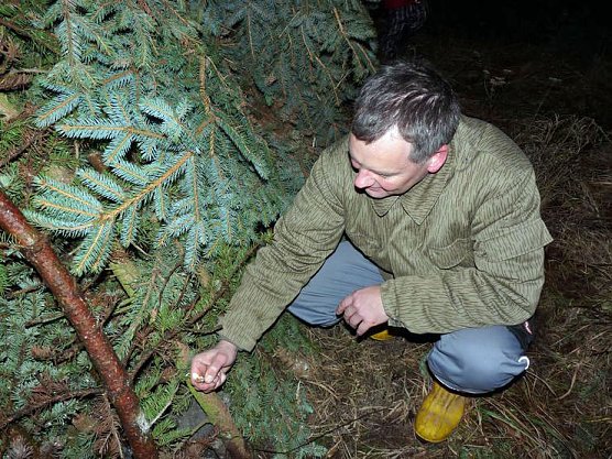 Wieder Feuer auf dem Berg (Foto: Karl-Heinz Herrmann)