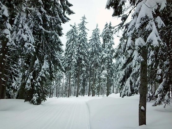 Bretterschachten (Foto: Karl-Heinz Herrmann)