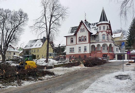 Baumf&auml;llungen passiert (Foto: Karl-Heinz Herrmann)