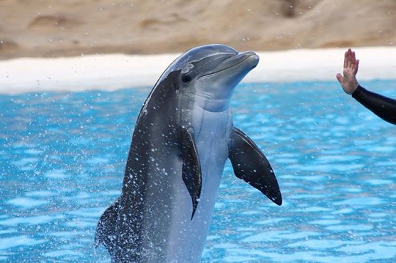 Ein Lichtblick (Foto: Hans-J&uuml;rgen Schmidt)